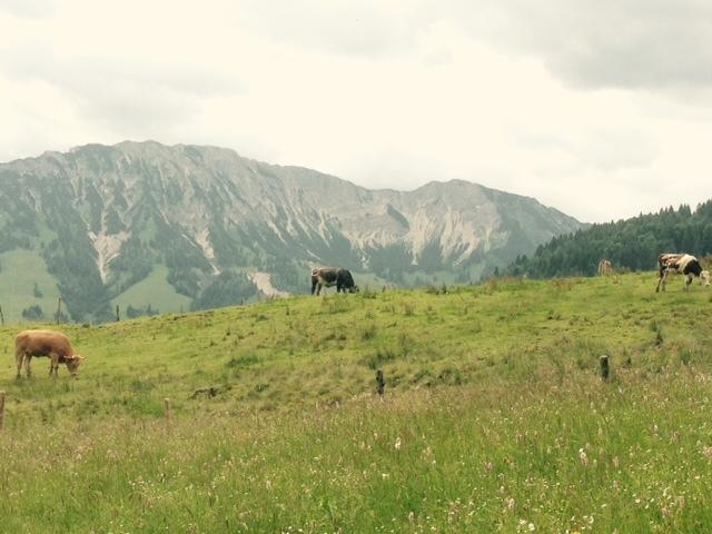 Ferienwohnung Himmel Oberstaufen Kamer foto